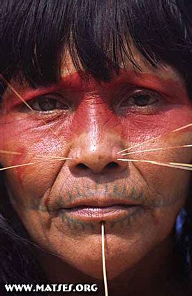 are there cannibal tribes in the amazon|Inside the cannibal Matses tribe in the Amazon who used eat